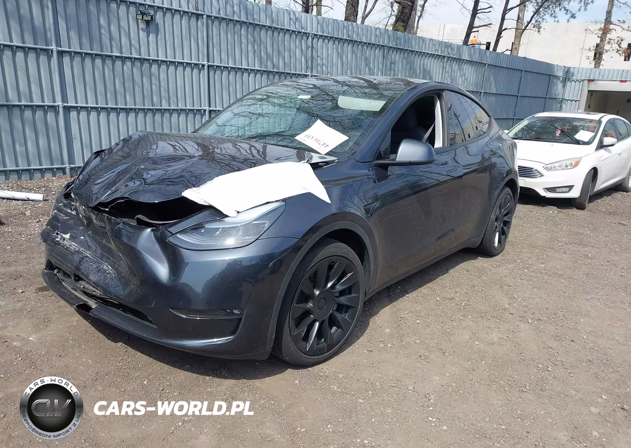 2025 Tesla Model Y Long Range Dual Motor All-Wheel Drive VIN:7SAYGDEE6SF308131 - 2