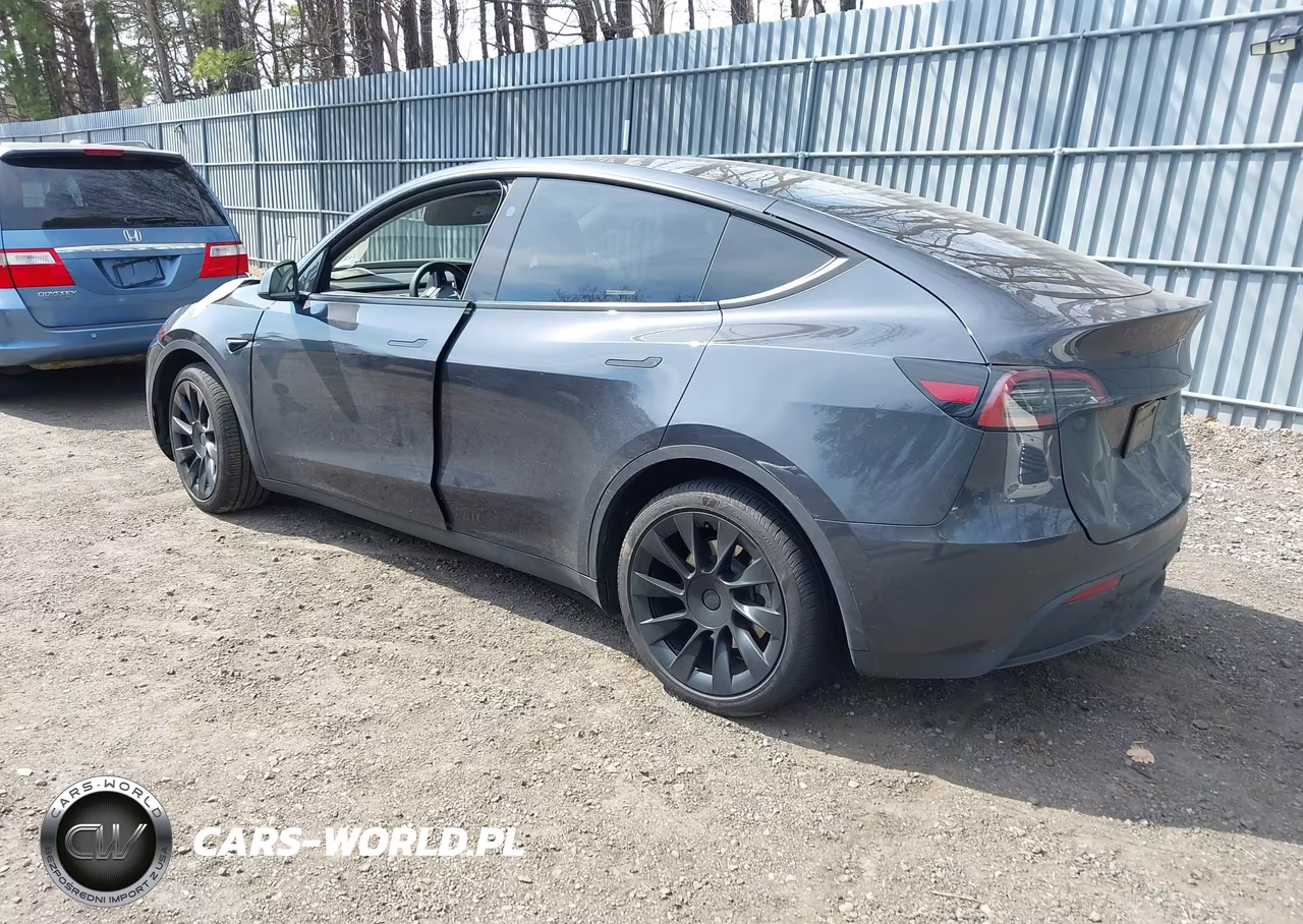2025 Tesla Model Y Long Range Dual Motor All-Wheel Drive VIN:7SAYGDEE6SF308131 - 3