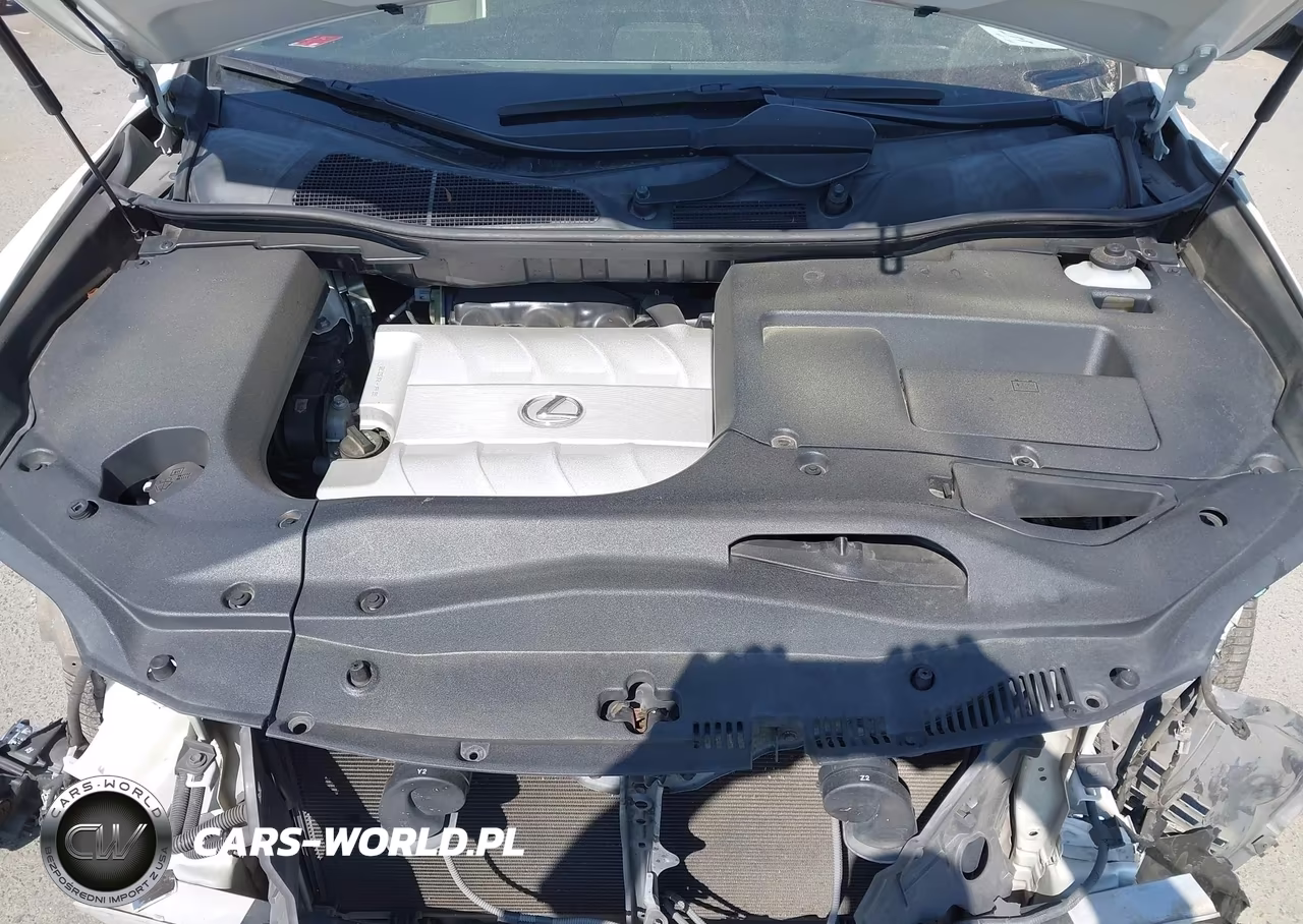 2010 Lexus Rx 350 VIN:JTJZK1BA6A2407711 - 10