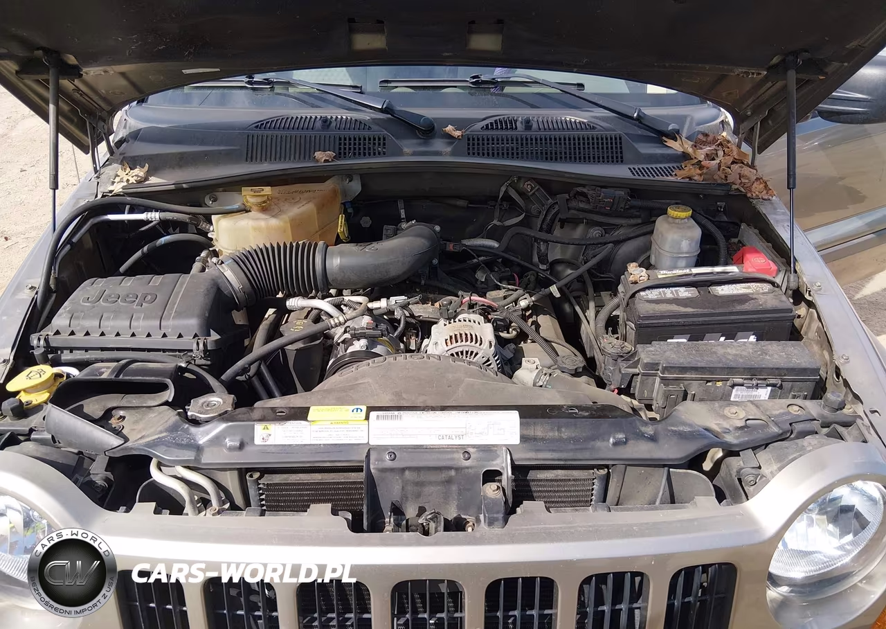 2007 Jeep Liberty Sport VIN:1J4GL48K07W553204 - 10