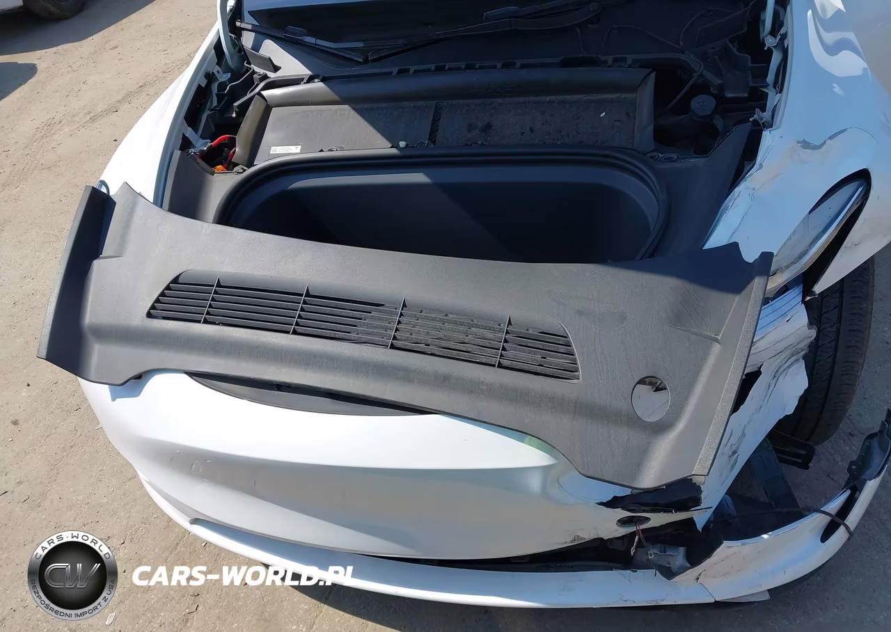 2023 Tesla Model Y Performance Dual Motor All-Wheel Drive VIN:7SAYGDEF1PA049237 - 10