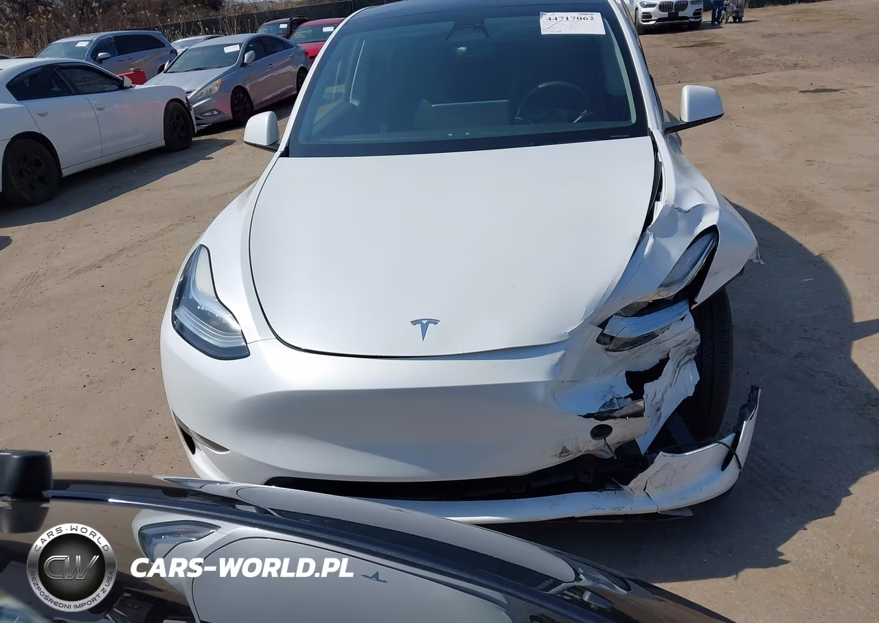 2023 Tesla Model Y Performance Dual Motor All-Wheel Drive VIN:7SAYGDEF1PA049237 - 12