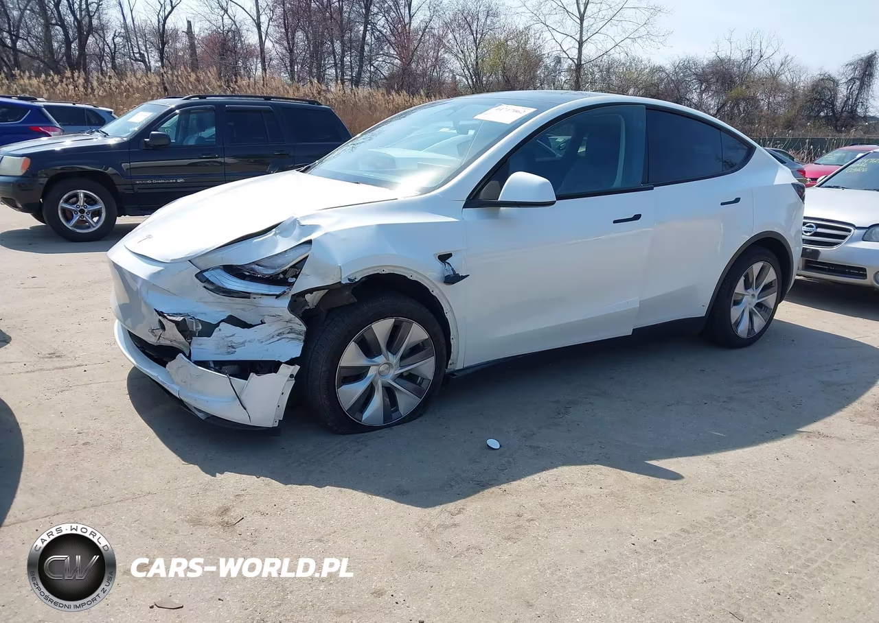 2023 Tesla Model Y Performance Dual Motor All-Wheel Drive VIN:7SAYGDEF1PA049237 - 2