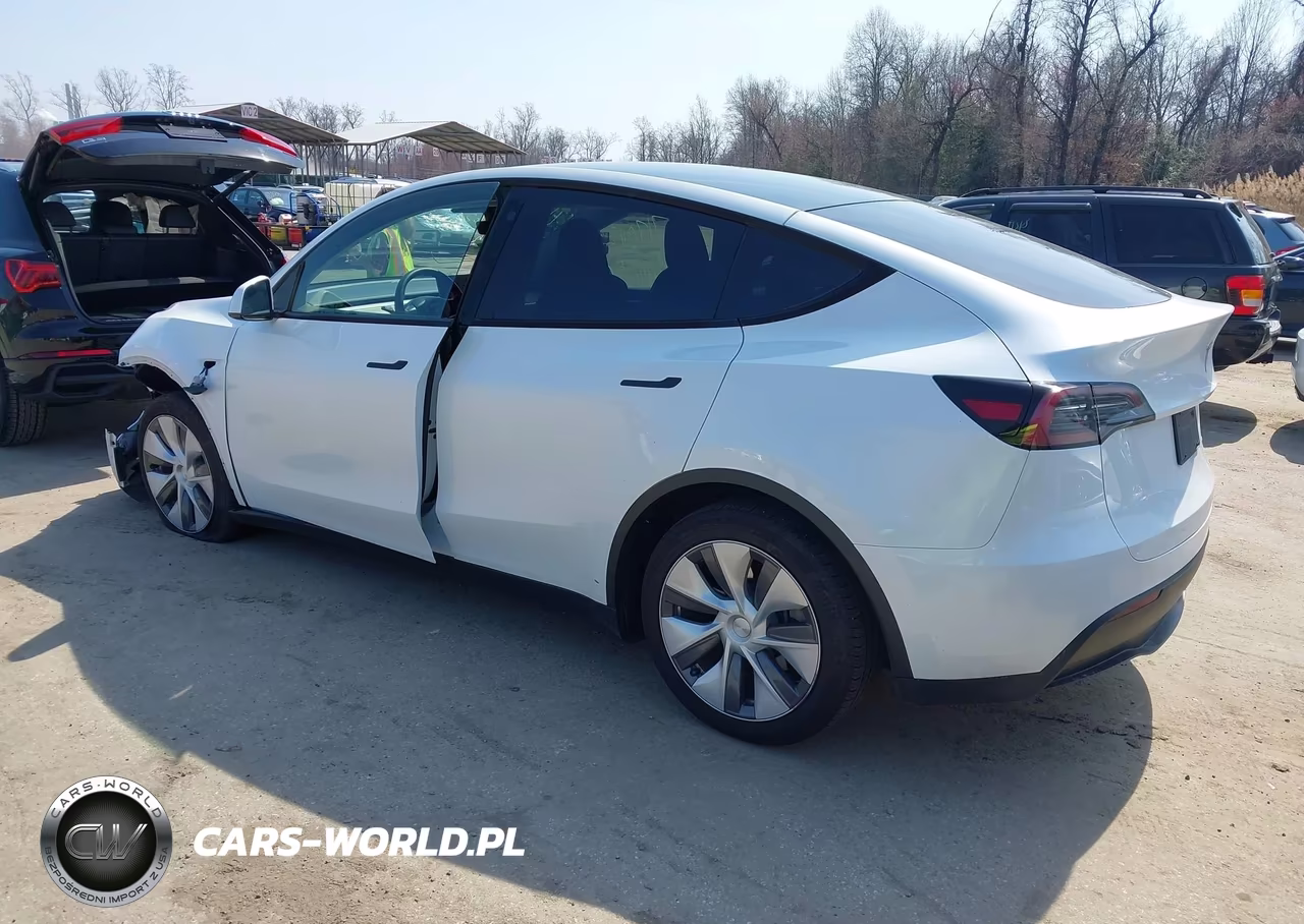 2023 Tesla Model Y Performance Dual Motor All-Wheel Drive VIN:7SAYGDEF1PA049237 - 3