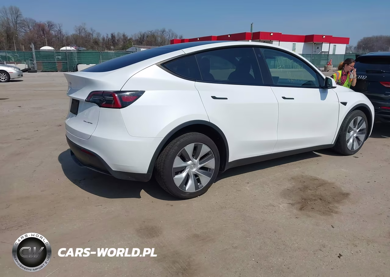 2023 Tesla Model Y Performance Dual Motor All-Wheel Drive VIN:7SAYGDEF1PA049237 - 4