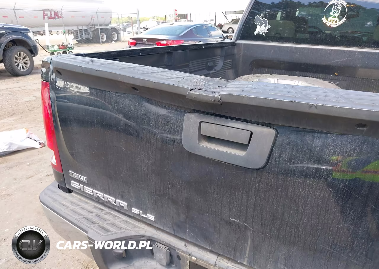 2009 GMC Sierra 1500 Sle VIN:1GTEC29069Z228749 - 6