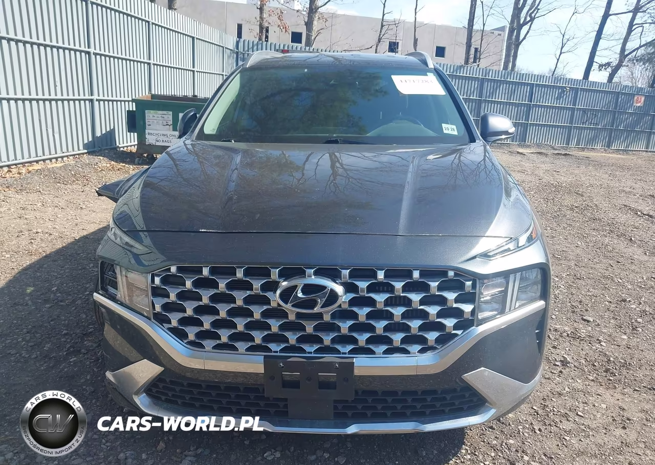 2023 Hyundai Santa Fe Hybrid Blue VIN:5NMS2DA14PH016343 - 12