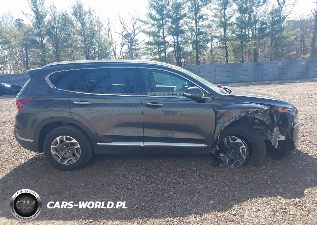 2023 Hyundai Santa Fe Hybrid Blue VIN:5NMS2DA14PH016343 - 13