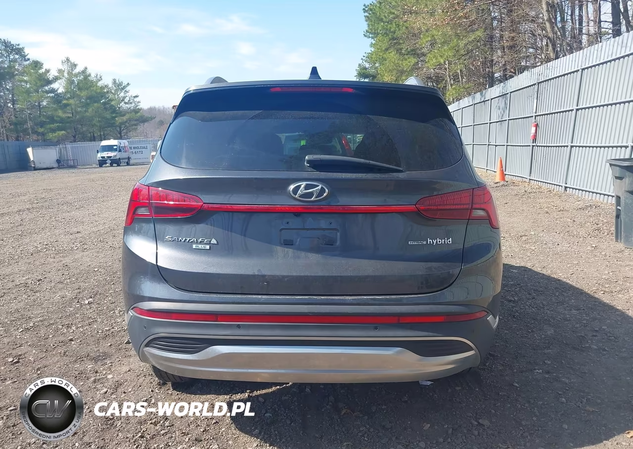 2023 Hyundai Santa Fe Hybrid Blue VIN:5NMS2DA14PH016343 - 16