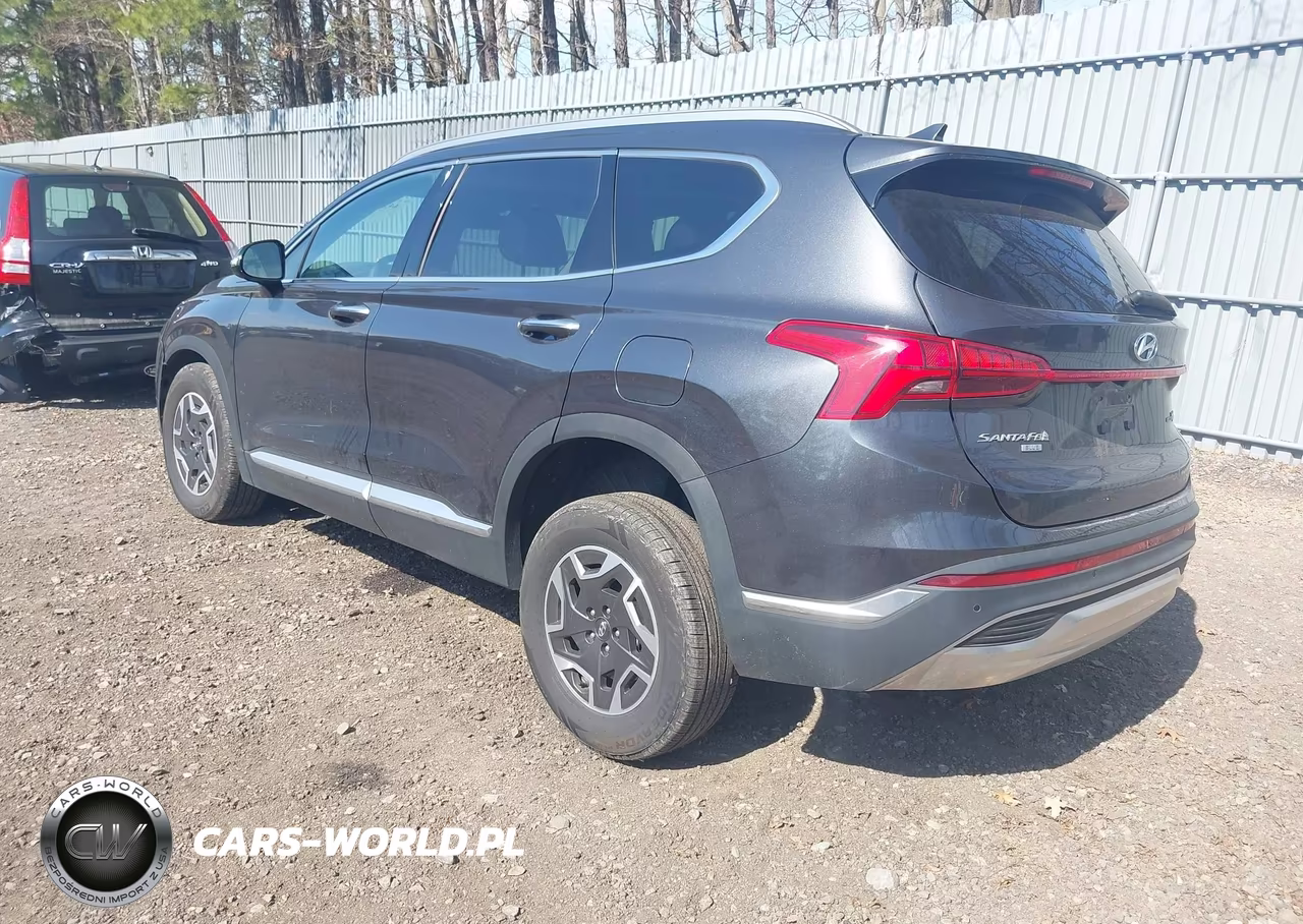 2023 Hyundai Santa Fe Hybrid Blue VIN:5NMS2DA14PH016343 - 3
