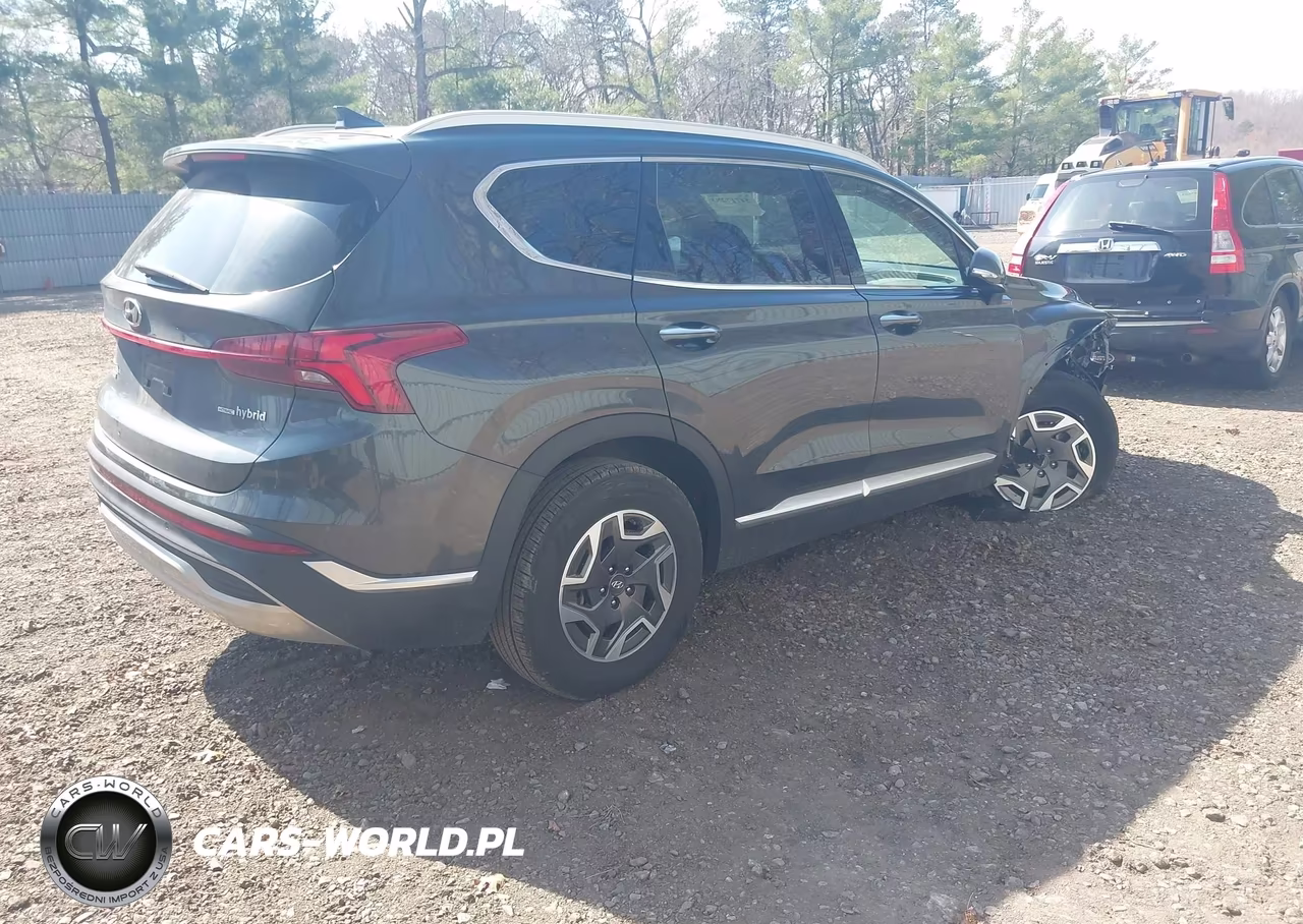 2023 Hyundai Santa Fe Hybrid Blue VIN:5NMS2DA14PH016343 - 4