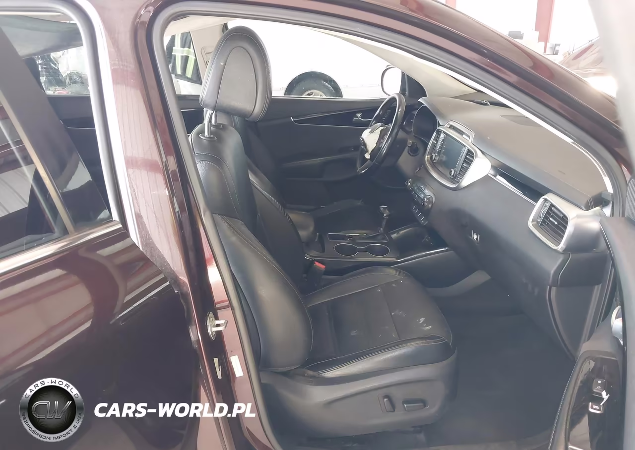 2016 Kia Sorento 3.3L Sx VIN:5XYPK4A51GG041252 - 5