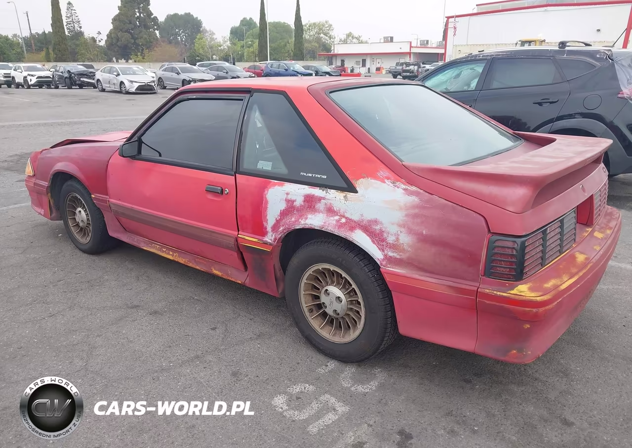 1989 Ford Mustang Gt-Cobra Gt VIN:1FABP42E5KF135761 - 3