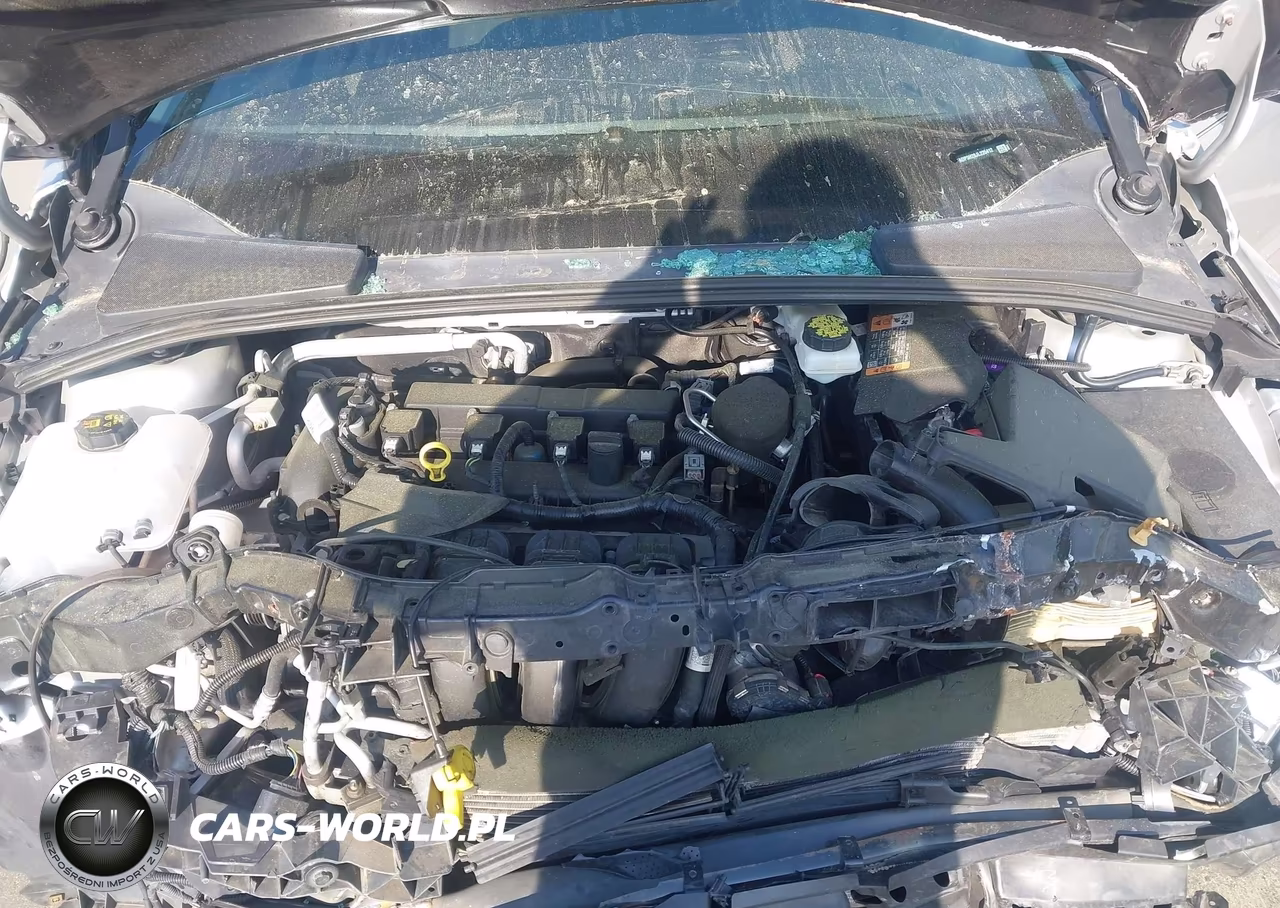 2018 Ford Focus Sel VIN:1FADP3H28JL226412 - 10