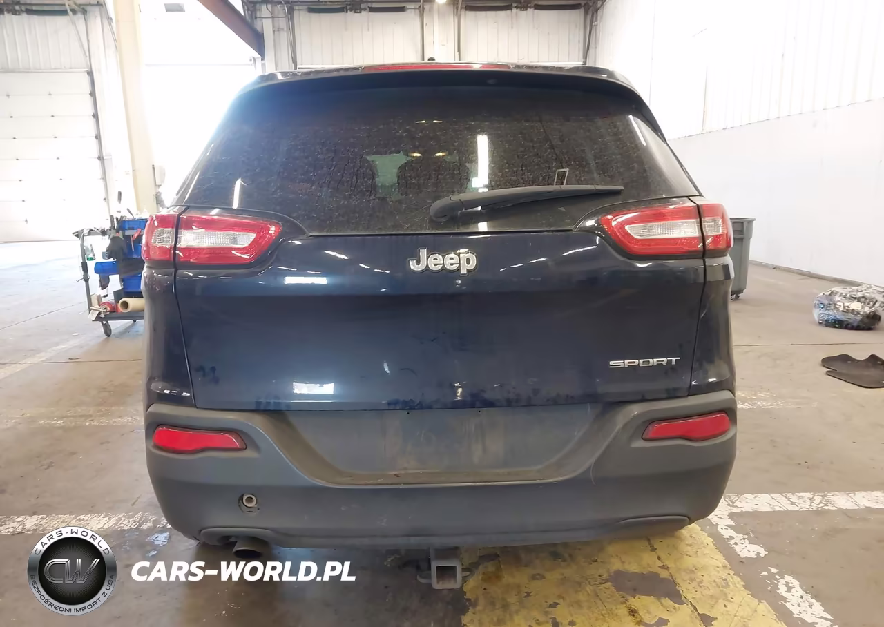 2016 Jeep Cherokee Sport VIN:1C4PJLAB3GW135526 - 17