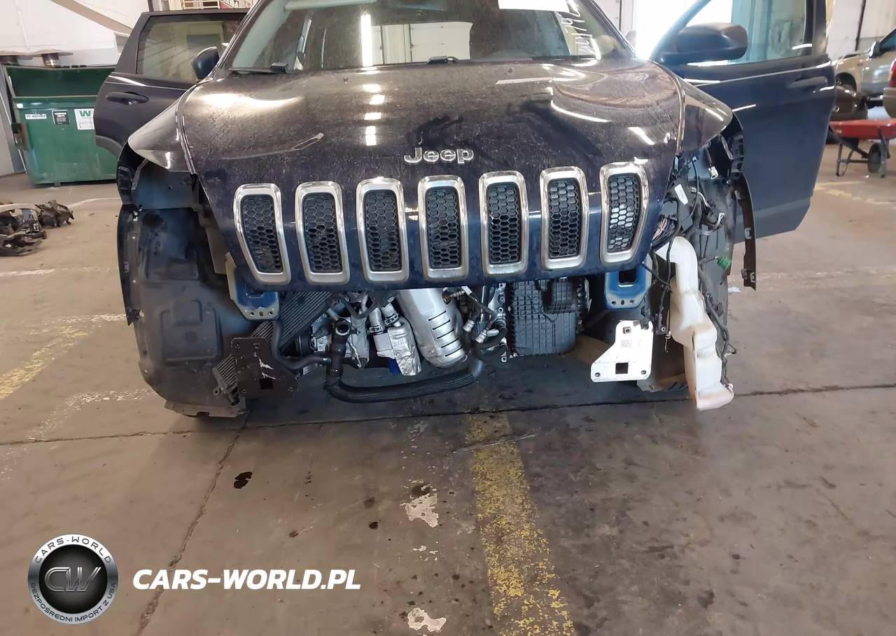 2016 Jeep Cherokee Sport VIN:1C4PJLAB3GW135526 - 6
