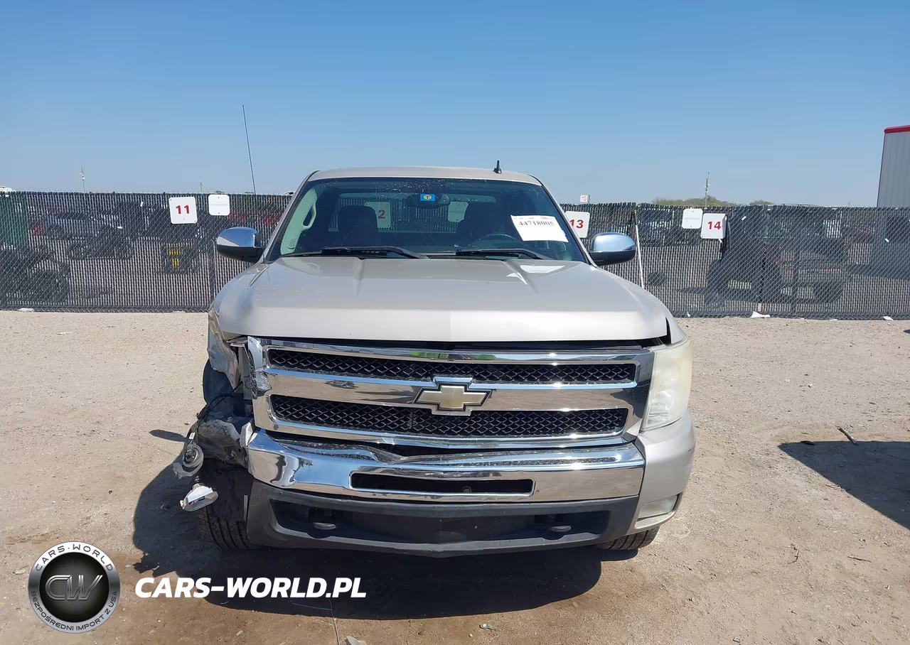 2009 Chevrolet Silverado 1500 Lt VIN:1GCEC29J59Z193470 - 12