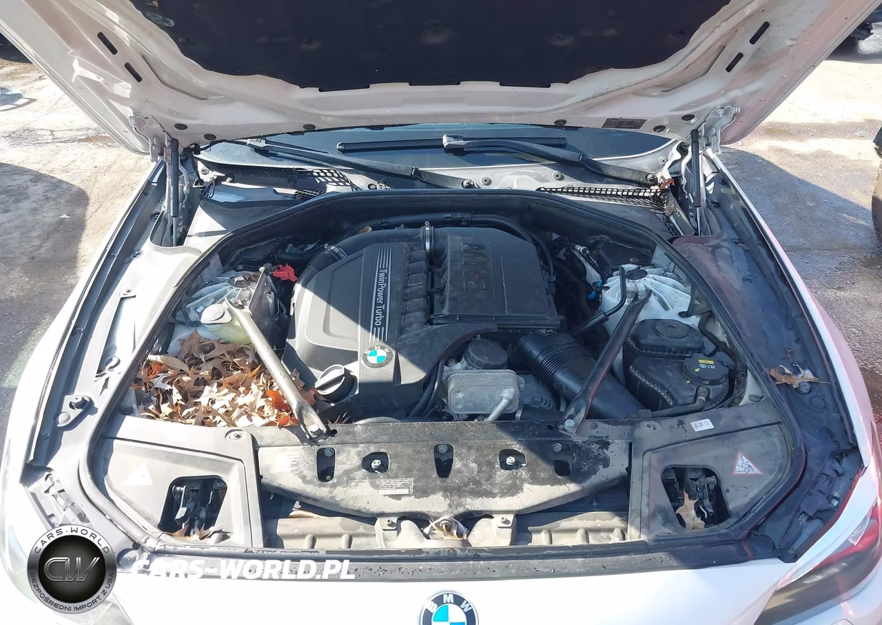 2015 BMW 535I xDrive VIN:WBA5B3C51FD547155 - 10