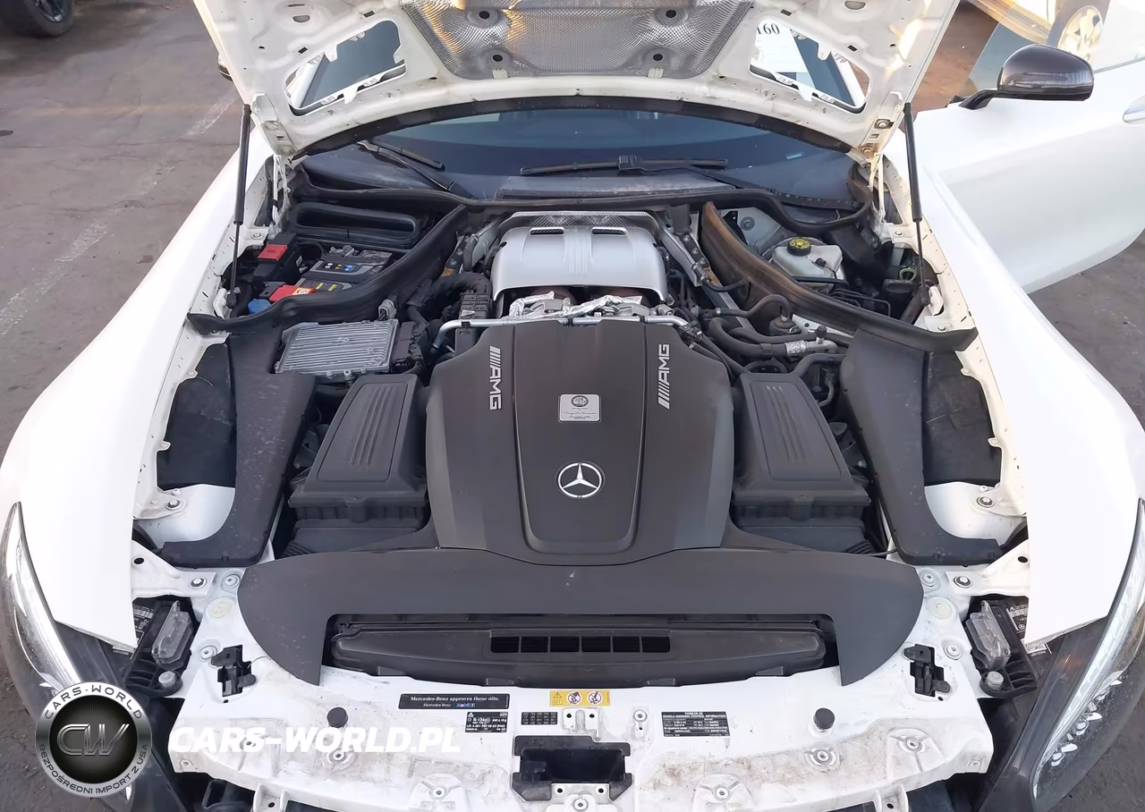 2016 Mercedes-Benz Gt S Amg VIN:WDDYJ7JA3GA007955 - 10