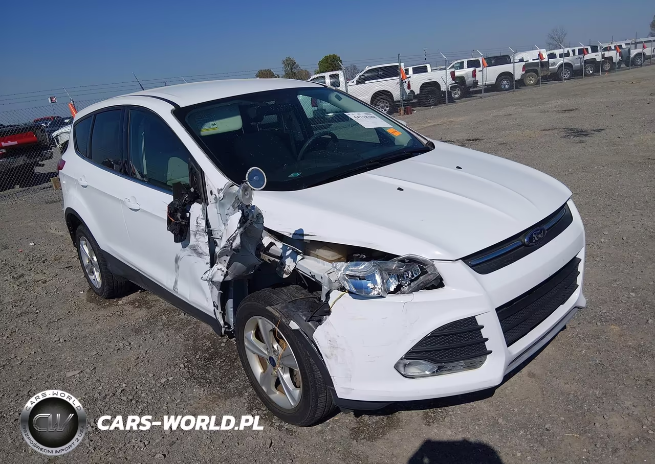 2013 Ford Escape Se