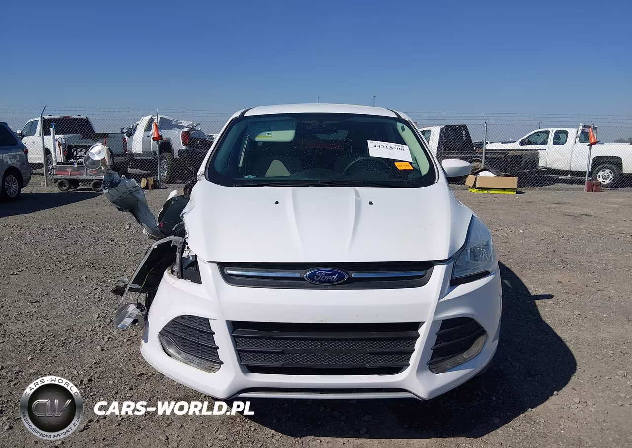2013 Ford Escape Se VIN:1FMCU0GX6DUD22382 - 12