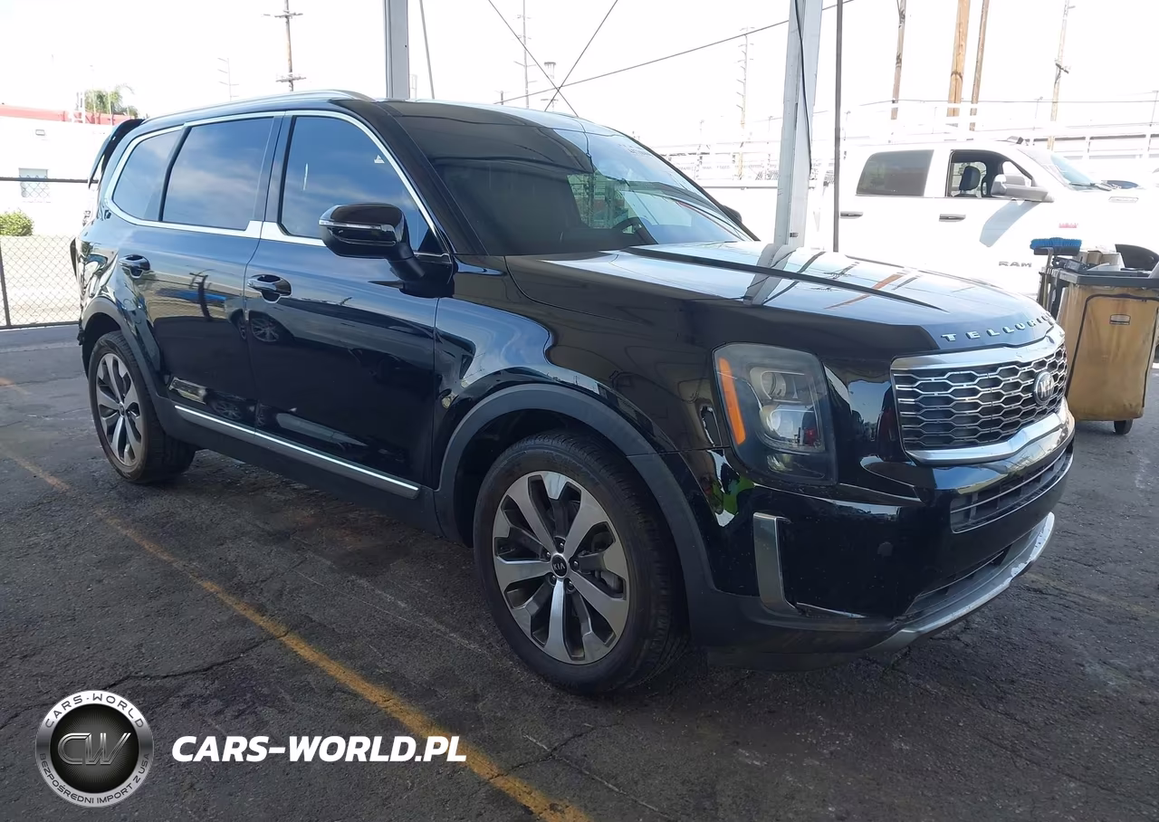 2021 Kia Telluride Ex VIN:5XYP3DHC5MG102468 - 1