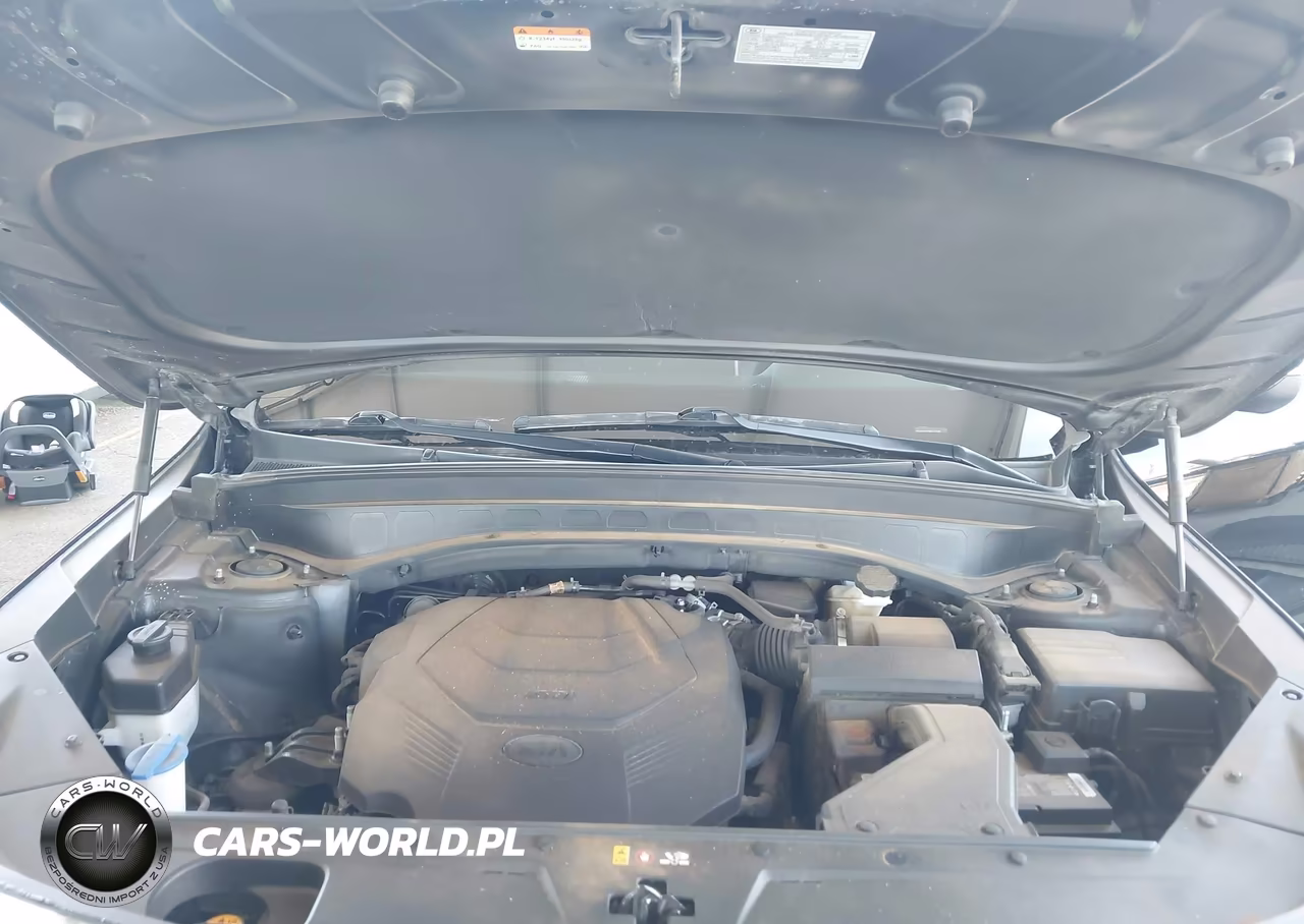 2021 Kia Telluride Ex VIN:5XYP3DHC5MG102468 - 10