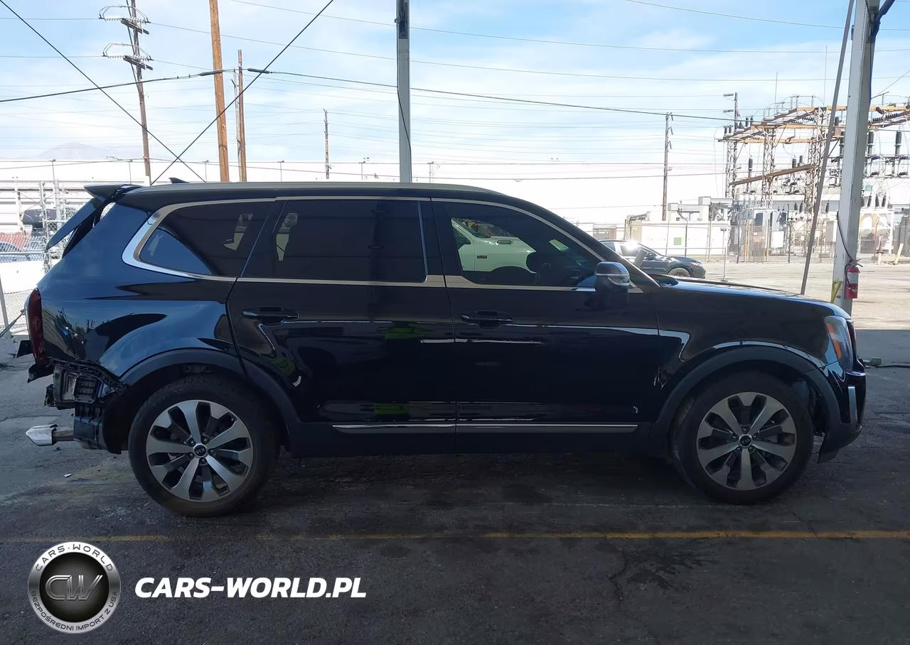 2021 Kia Telluride Ex VIN:5XYP3DHC5MG102468 - 12