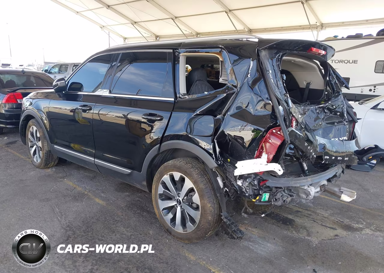 2021 Kia Telluride Ex VIN:5XYP3DHC5MG102468 - 3
