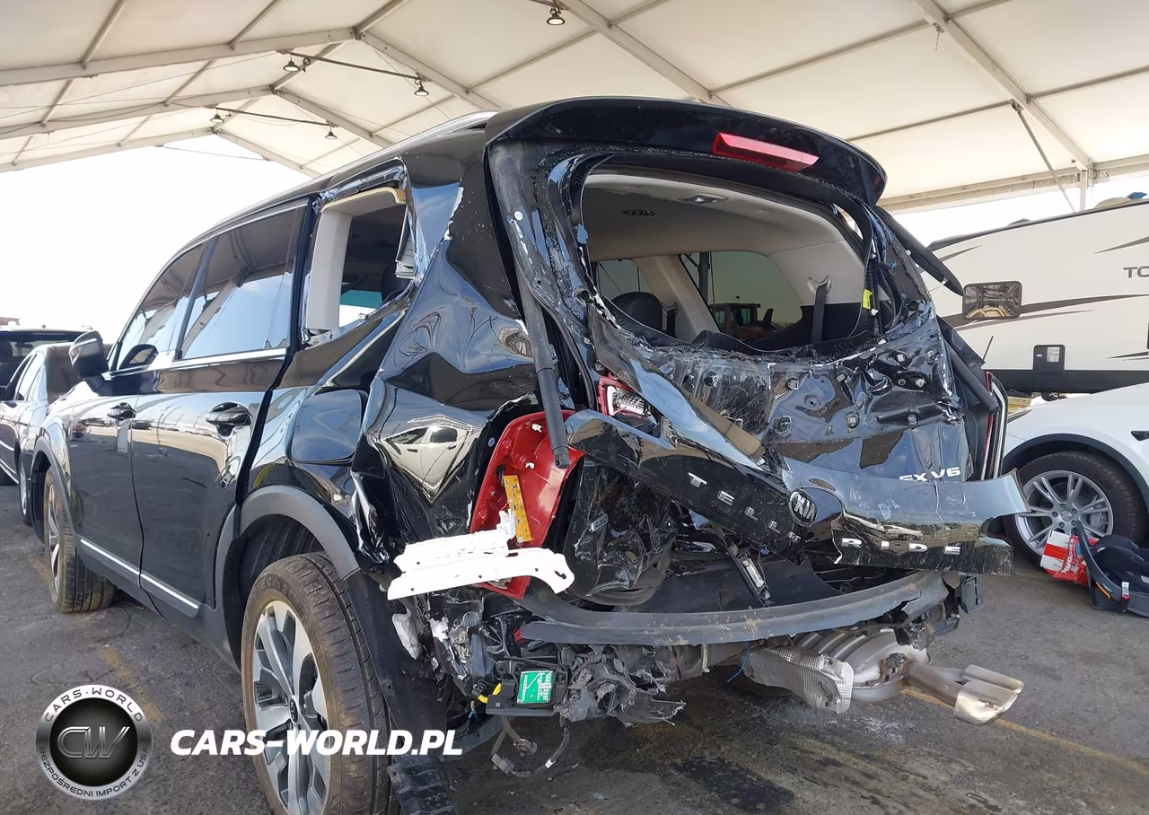 2021 Kia Telluride Ex VIN:5XYP3DHC5MG102468 - 6