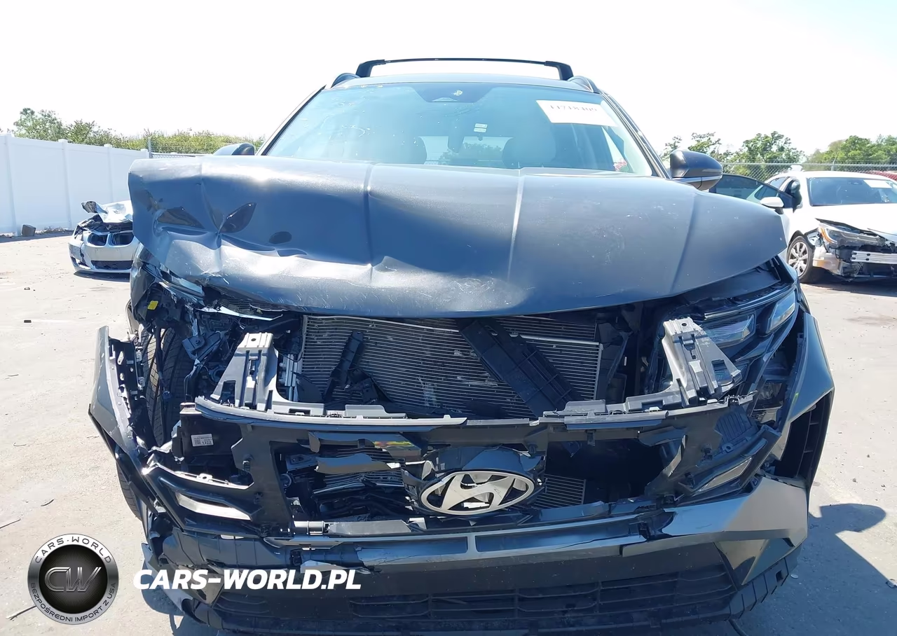 2025 Hyundai Tucson Sel Convenience VIN:5NMJC3DE0SH507891 - 12
