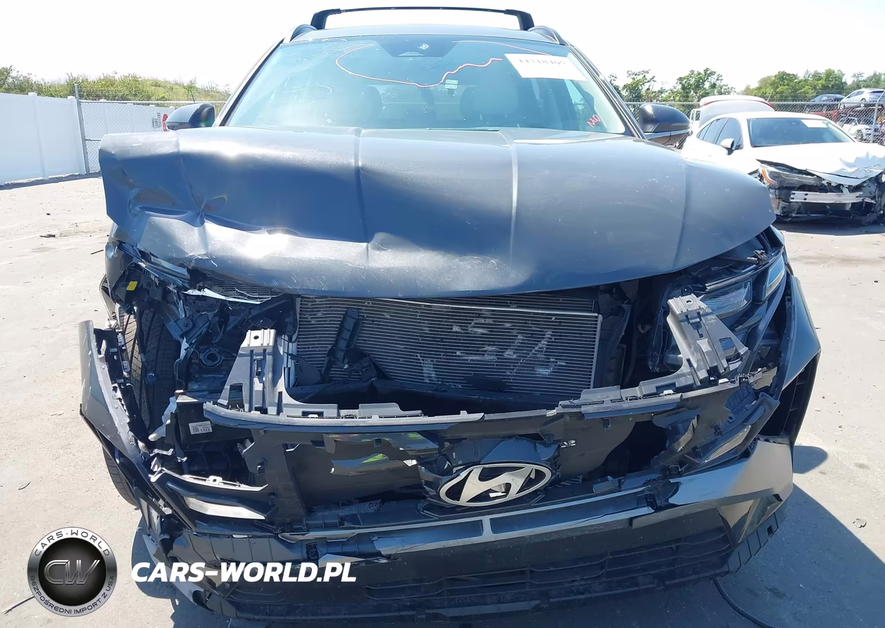 2025 Hyundai Tucson Sel Convenience VIN:5NMJC3DE0SH507891 - 6