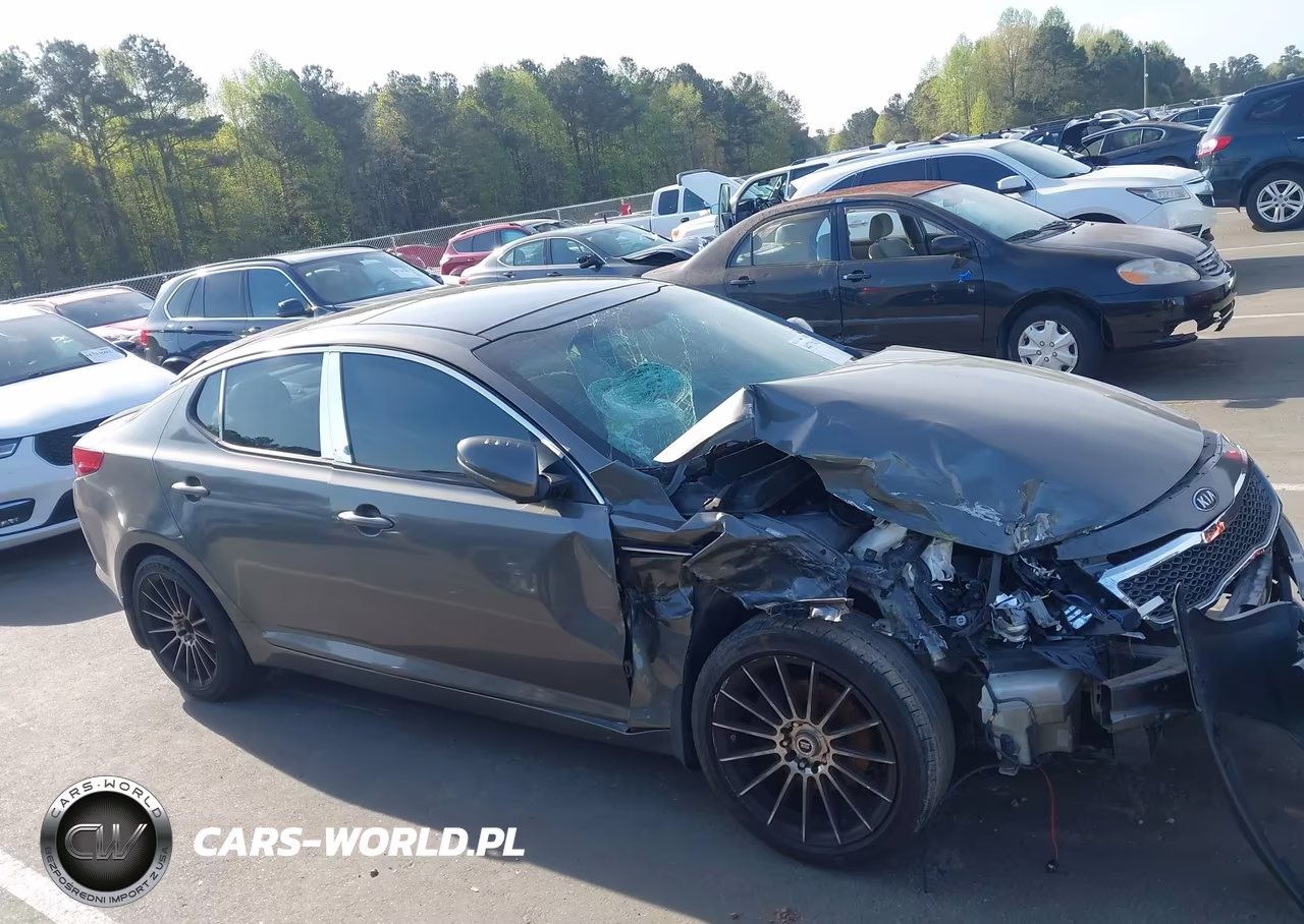 2013 Kia Optima Ex VIN:5XXGN4A73DG124366 - 14