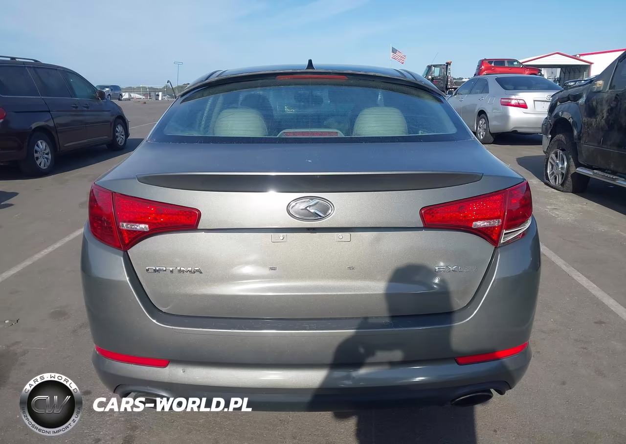2013 Kia Optima Ex VIN:5XXGN4A73DG124366 - 17