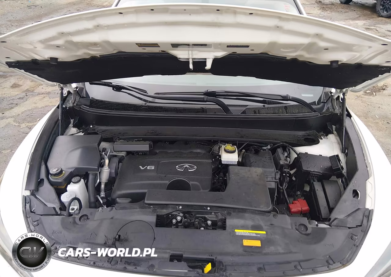 2019 Infiniti Qx60 Luxe VIN:5N1DL0MN6KC564702 - 10