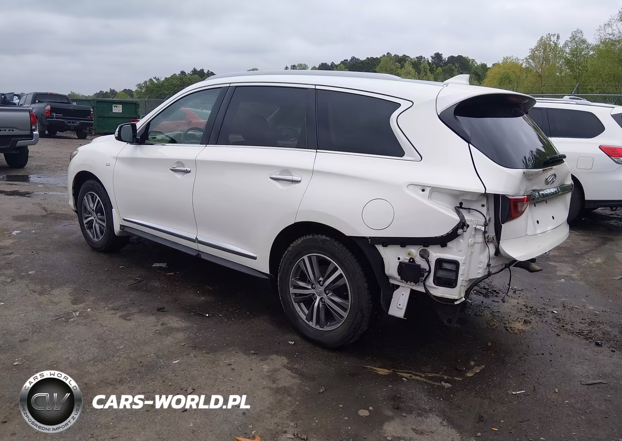 2019 Infiniti Qx60 Luxe VIN:5N1DL0MN6KC564702 - 3