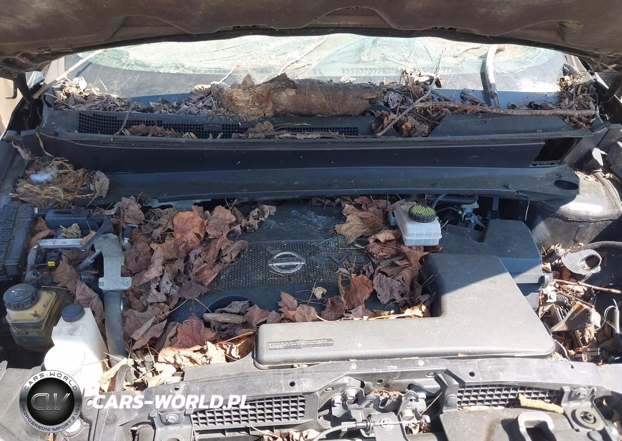 2015 Nissan Pathfinder Platinum VIN:5N1AR2MM2FC638157 - 10
