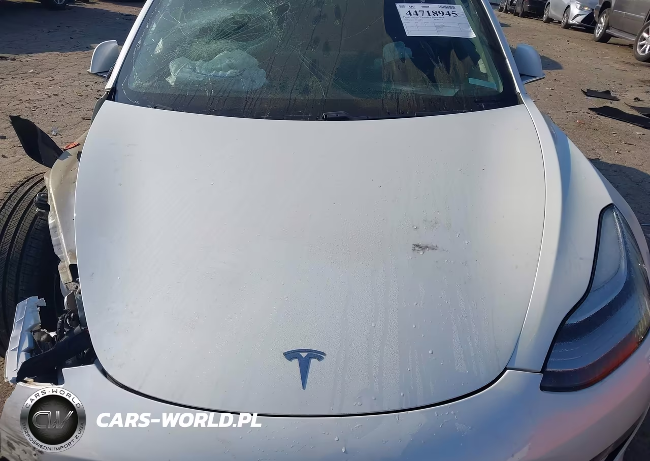 2020 Tesla Model 3 Standard Range Plus Rear-Wheel Drive-Standard Range Rear-Wheel Drive VIN:5YJ3E1EA2LF590472 - 10