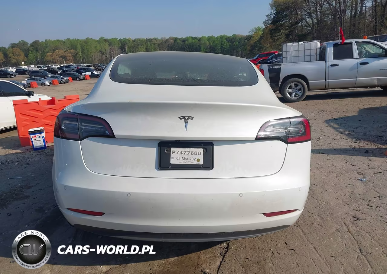 2020 Tesla Model 3 Standard Range Plus Rear-Wheel Drive-Standard Range Rear-Wheel Drive VIN:5YJ3E1EA2LF590472 - 17