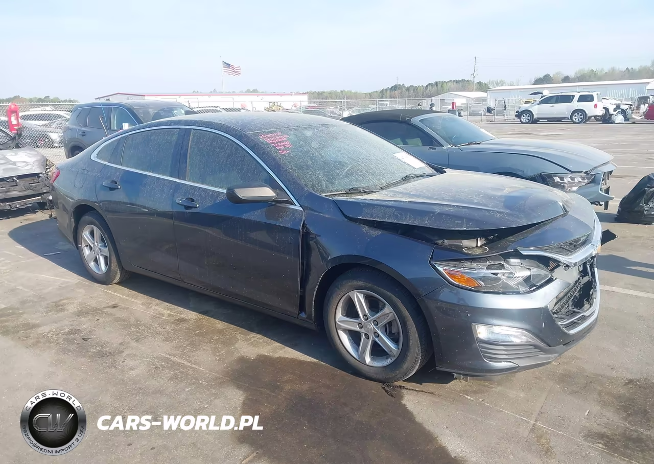 2019 Chevrolet Malibu 1Ls