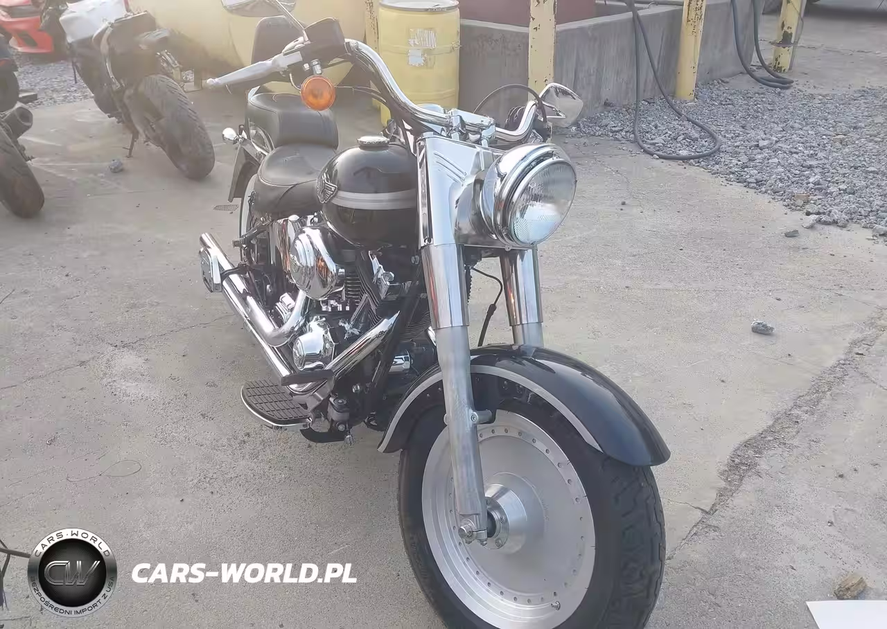 2003 Harley-Davidson Flstfi