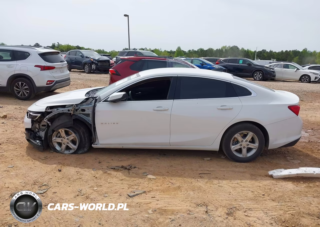 2024 Chevrolet Malibu Fwd 1Fl VIN:1G1ZC5ST3RF196571 - 14