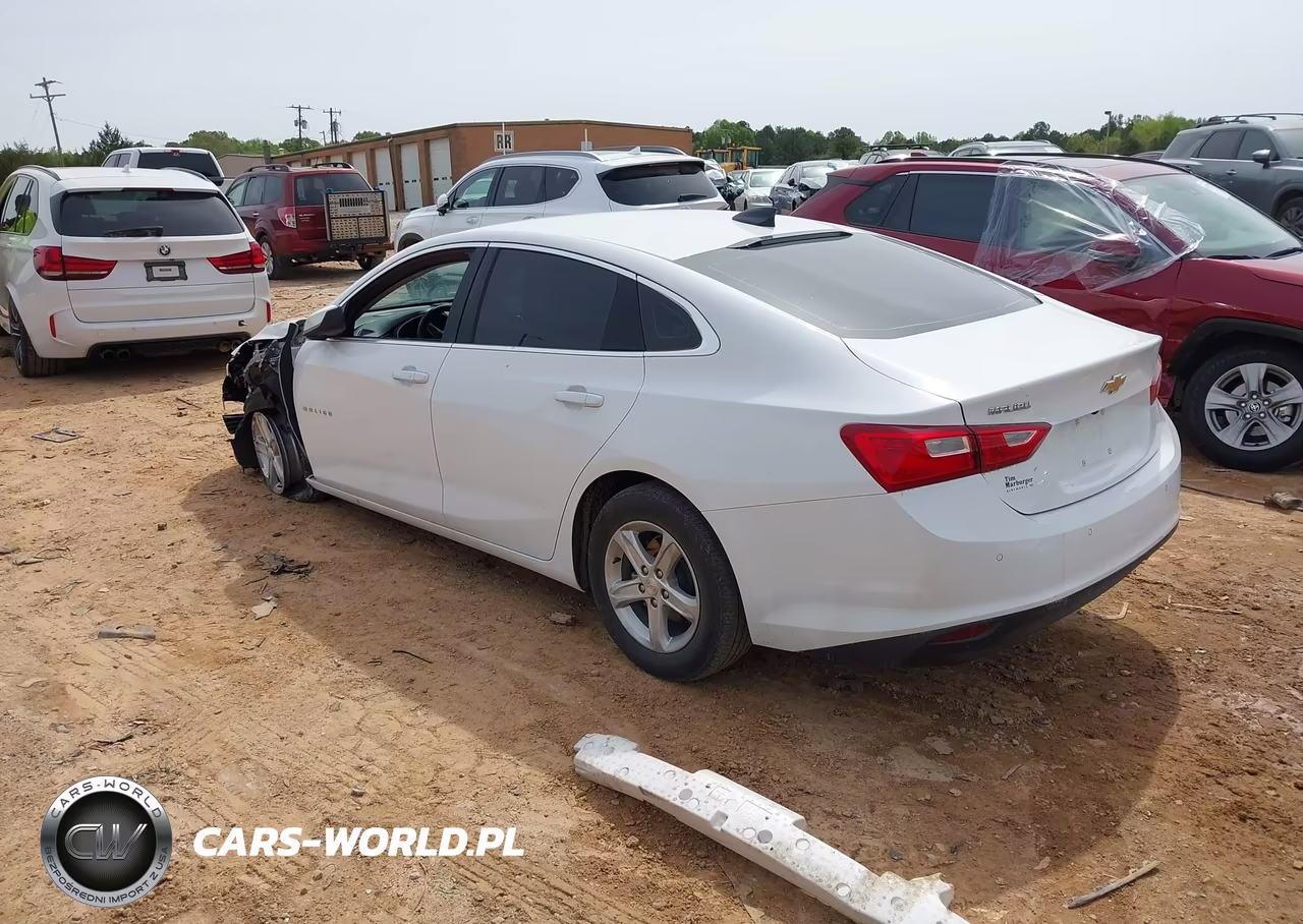 2024 Chevrolet Malibu Fwd 1Fl VIN:1G1ZC5ST3RF196571 - 3