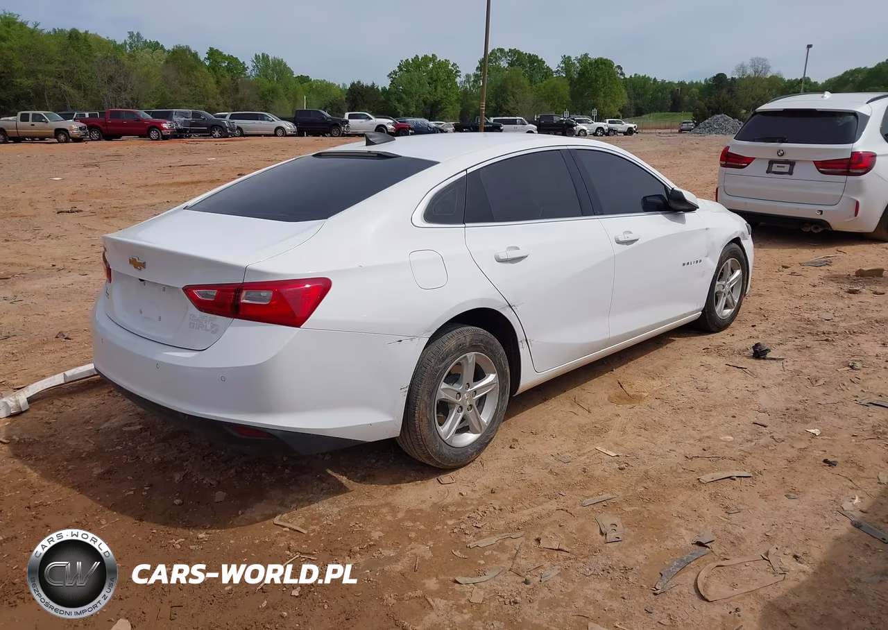 2024 Chevrolet Malibu Fwd 1Fl VIN:1G1ZC5ST3RF196571 - 4