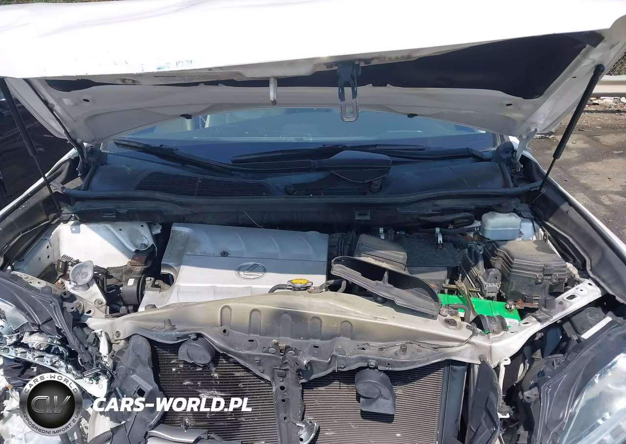 2013 Lexus Rx 350 VIN:2T2BK1BA1DC208698 - 10