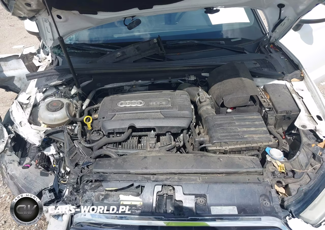 2018 Audi A3 2.0T Premium-2.0T Tech Premium VIN:WAUAUGFF7J1010885 - 10