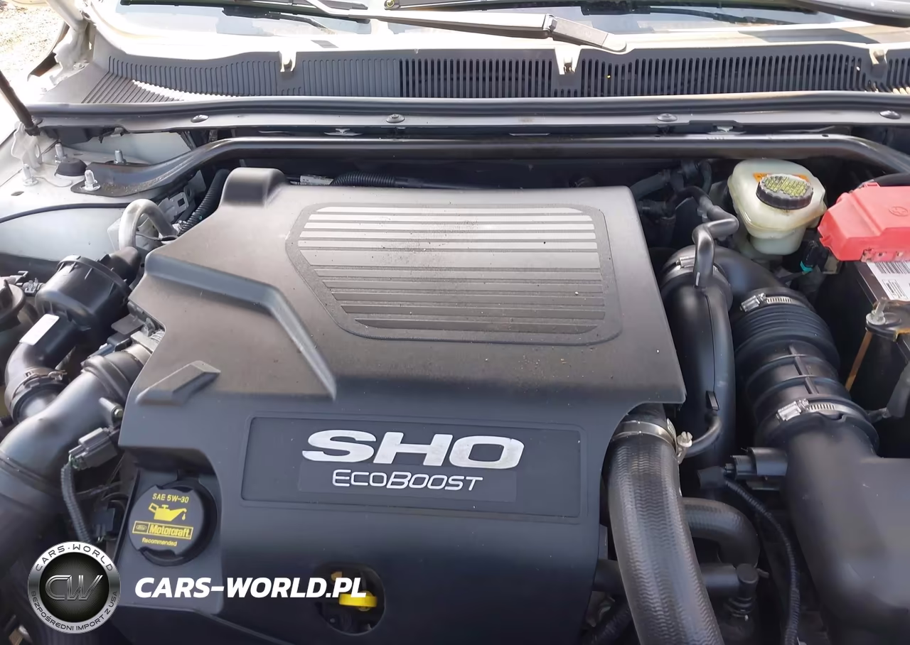 2014 Ford Taurus Sho VIN:1FAHP2KT0EG123383 - 10