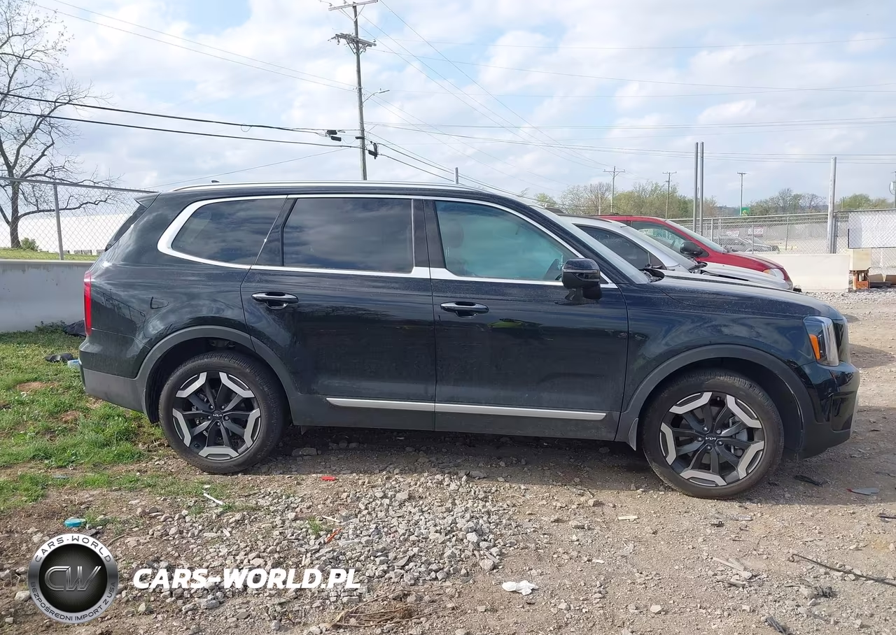 2025 Kia Telluride S VIN:5XYP6DGC5SG634177 - 13