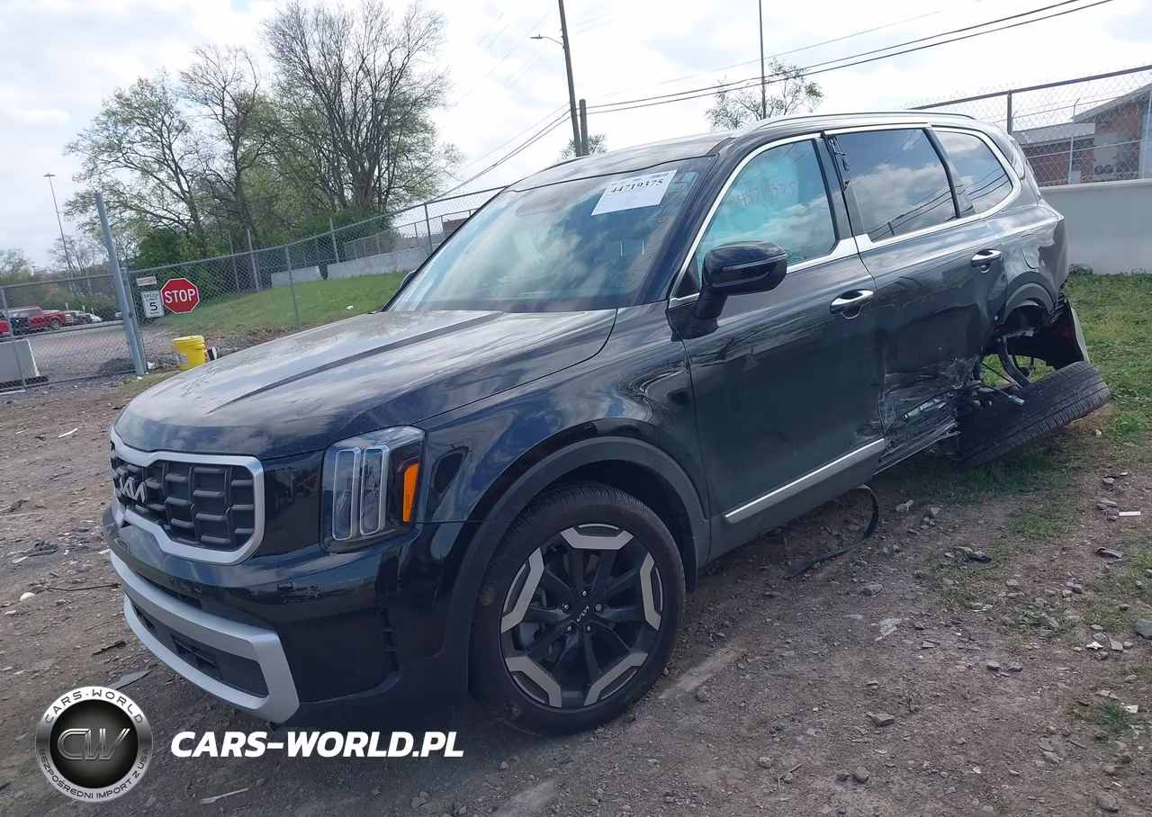 2025 Kia Telluride S VIN:5XYP6DGC5SG634177 - 2