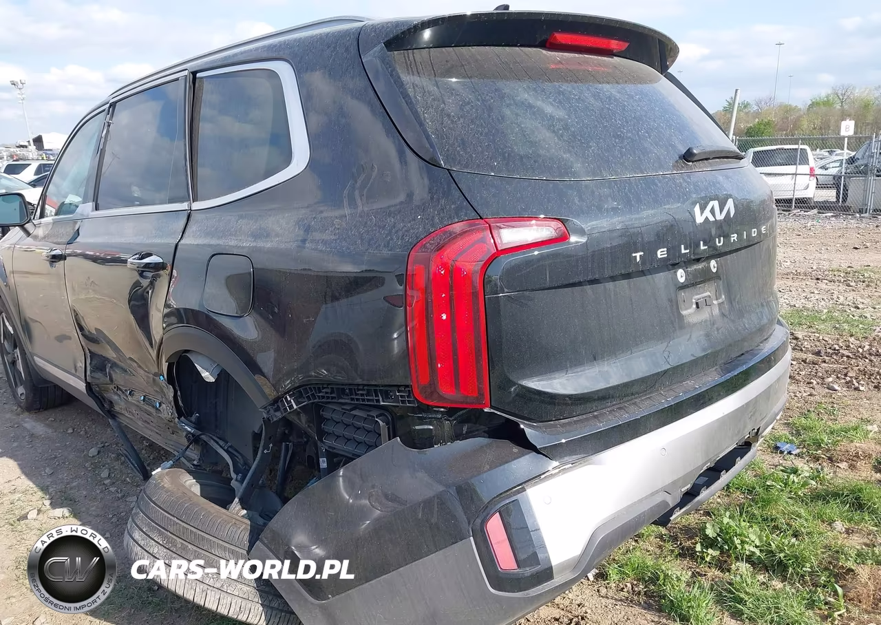 2025 Kia Telluride S VIN:5XYP6DGC5SG634177 - 6